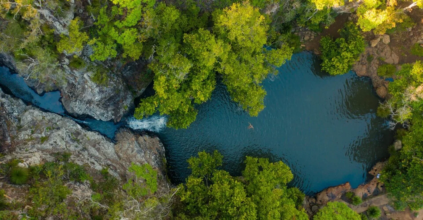 Above image: Kondalilla Falls