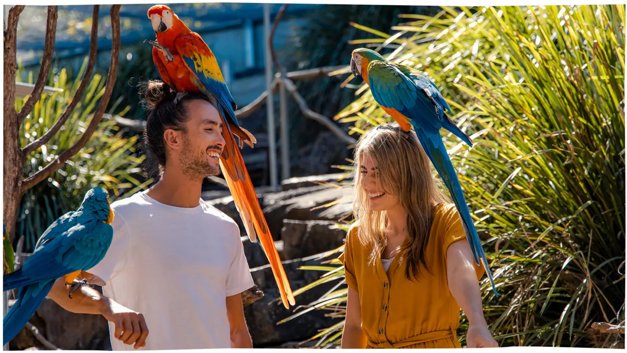 Maleny Botanic Gardens & Bird World