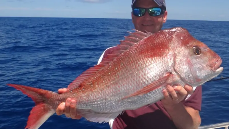 Sunshine Coast off-shore fishing