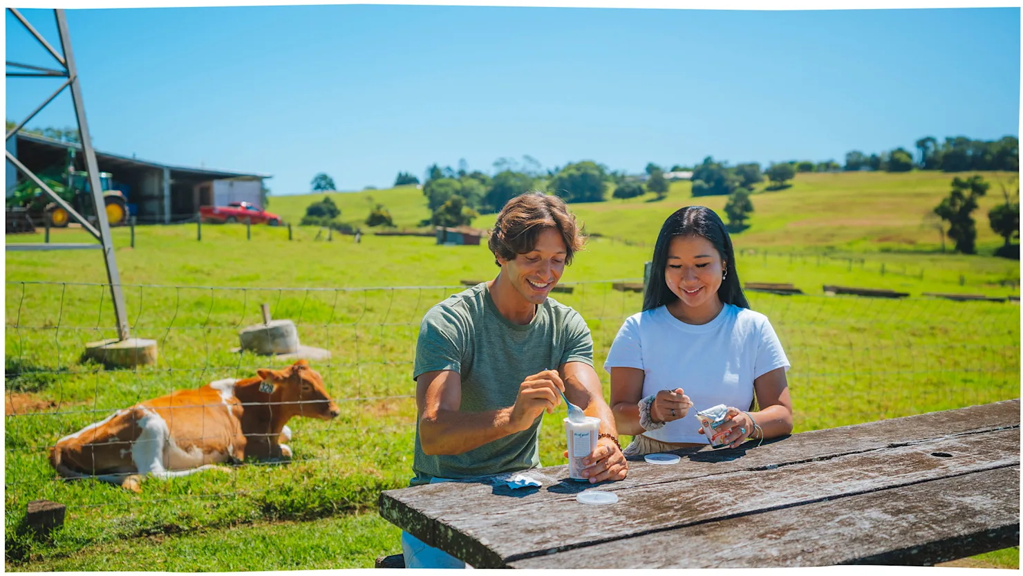 Maleny Dairies, Maleny