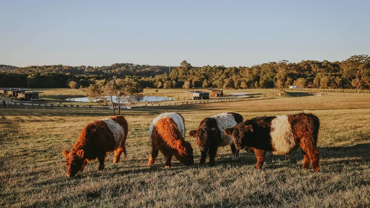 Haycation Rejuvenation