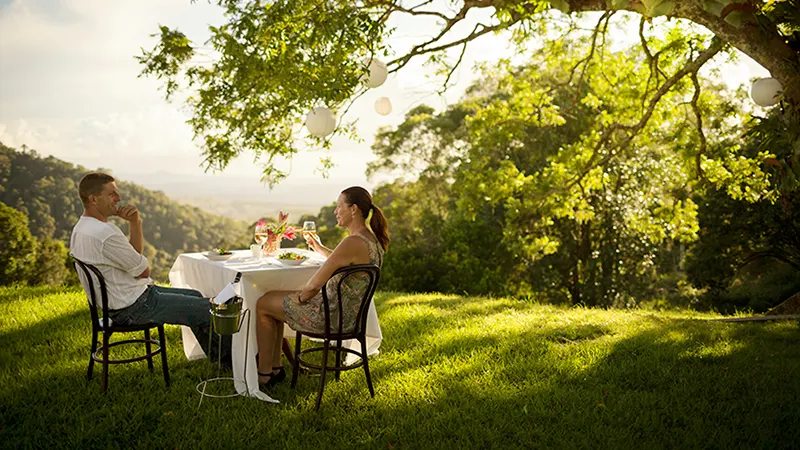 Lunch under the tree