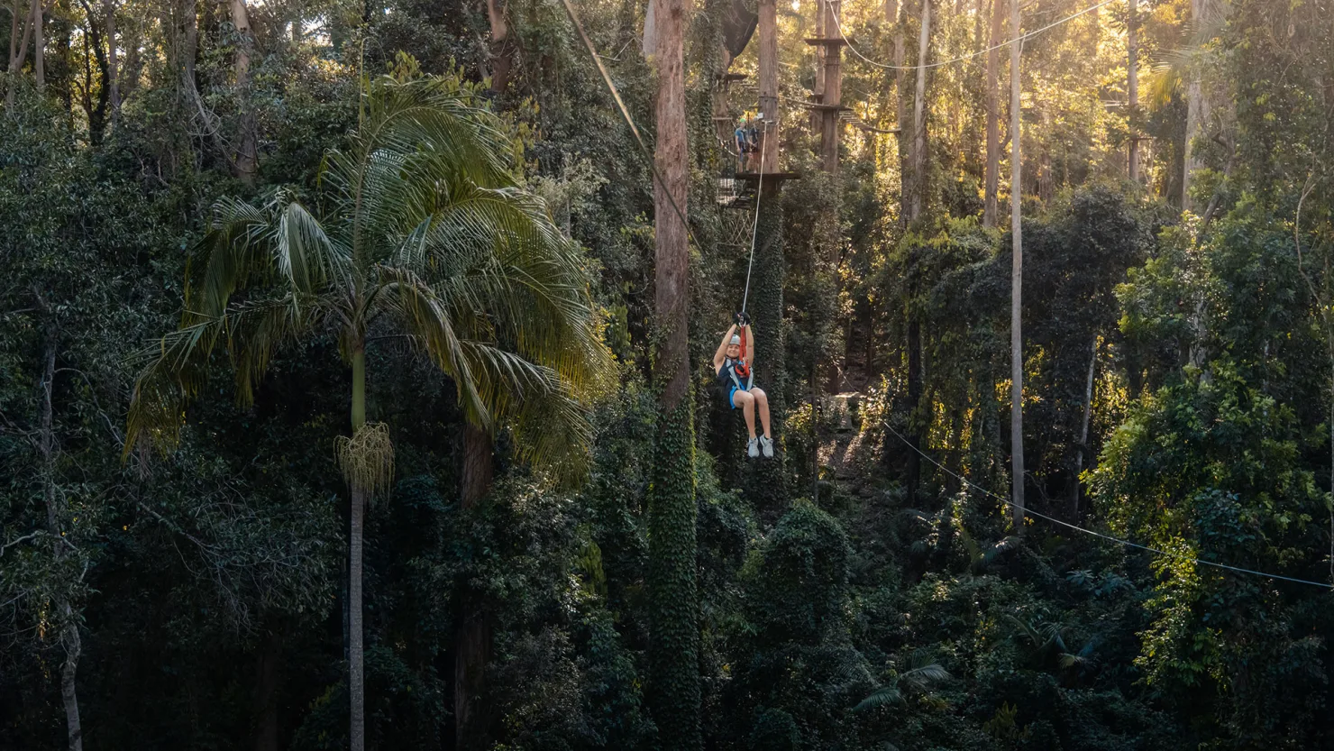 Treetop Challenge, Woombye