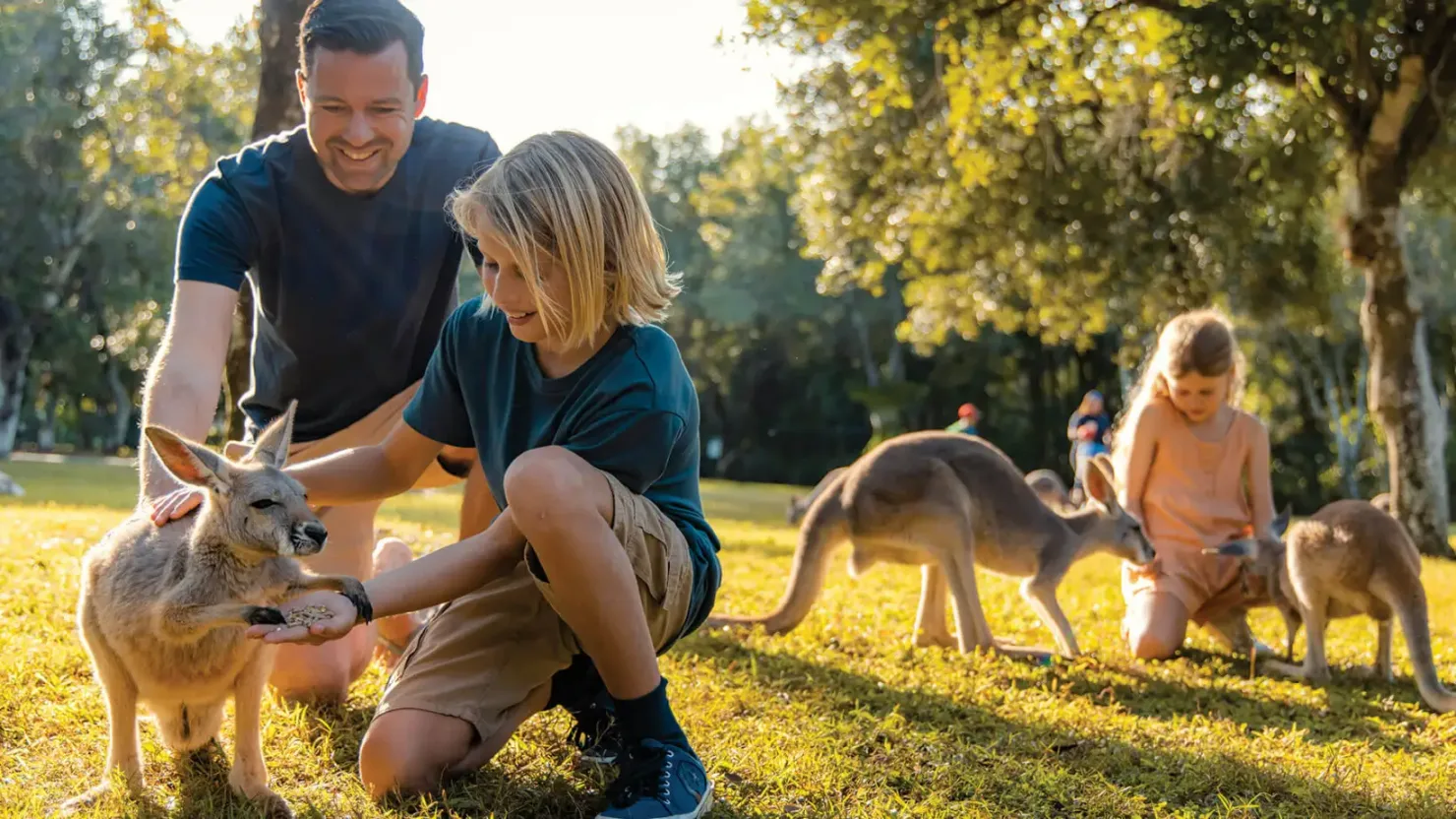 Father and son with a kangaroo at Australia Zoo