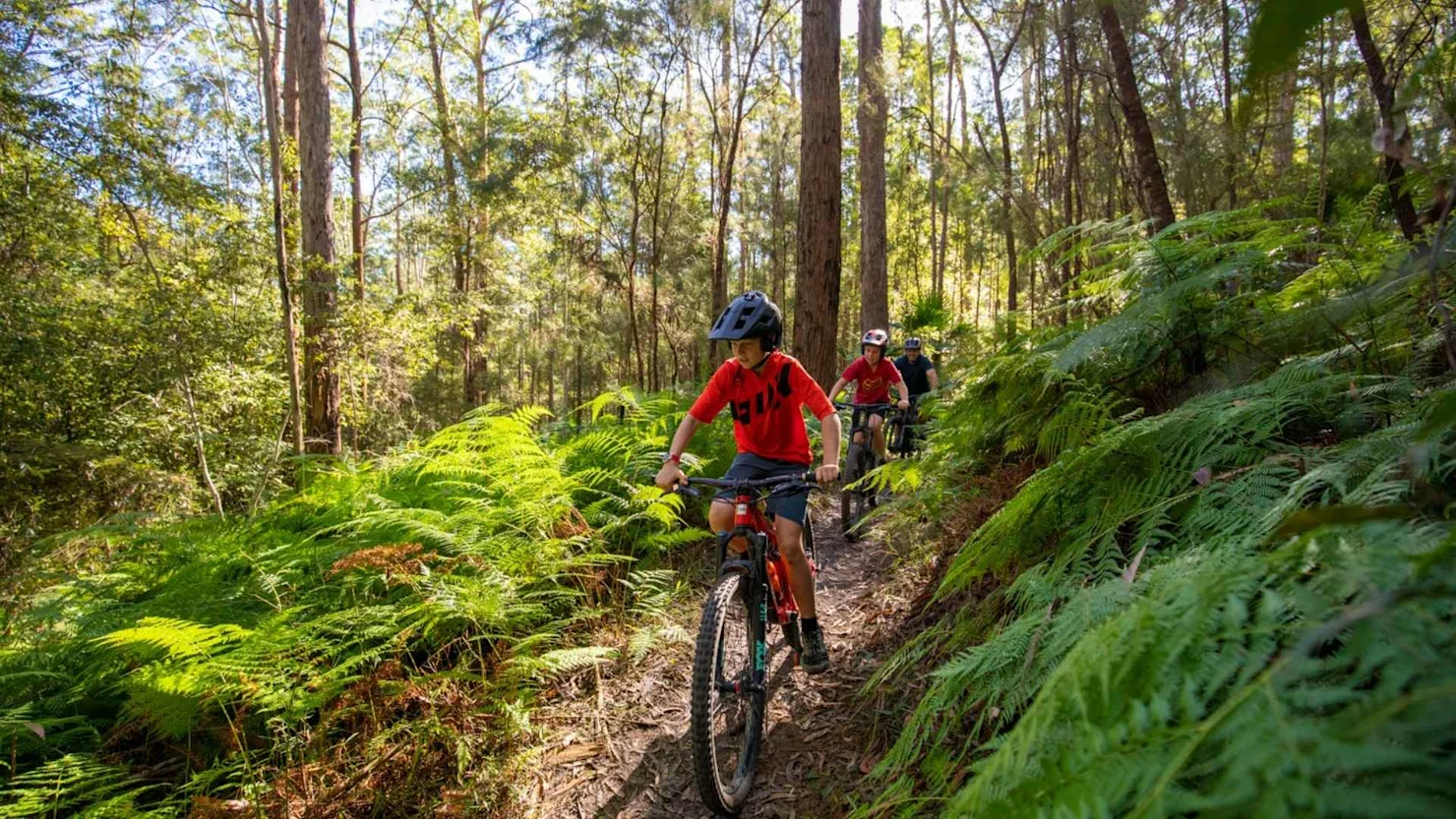 Parklands Mountain Biking Trail, Nambour, Sunshine Coast