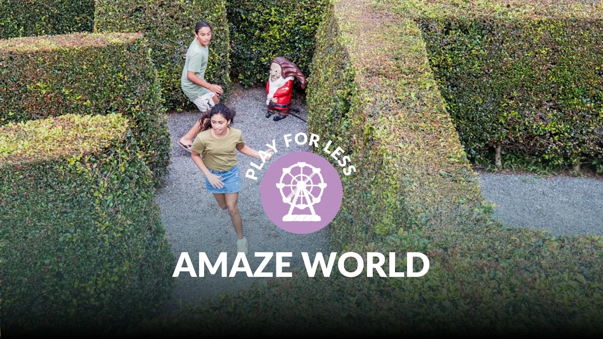 25% off family passes