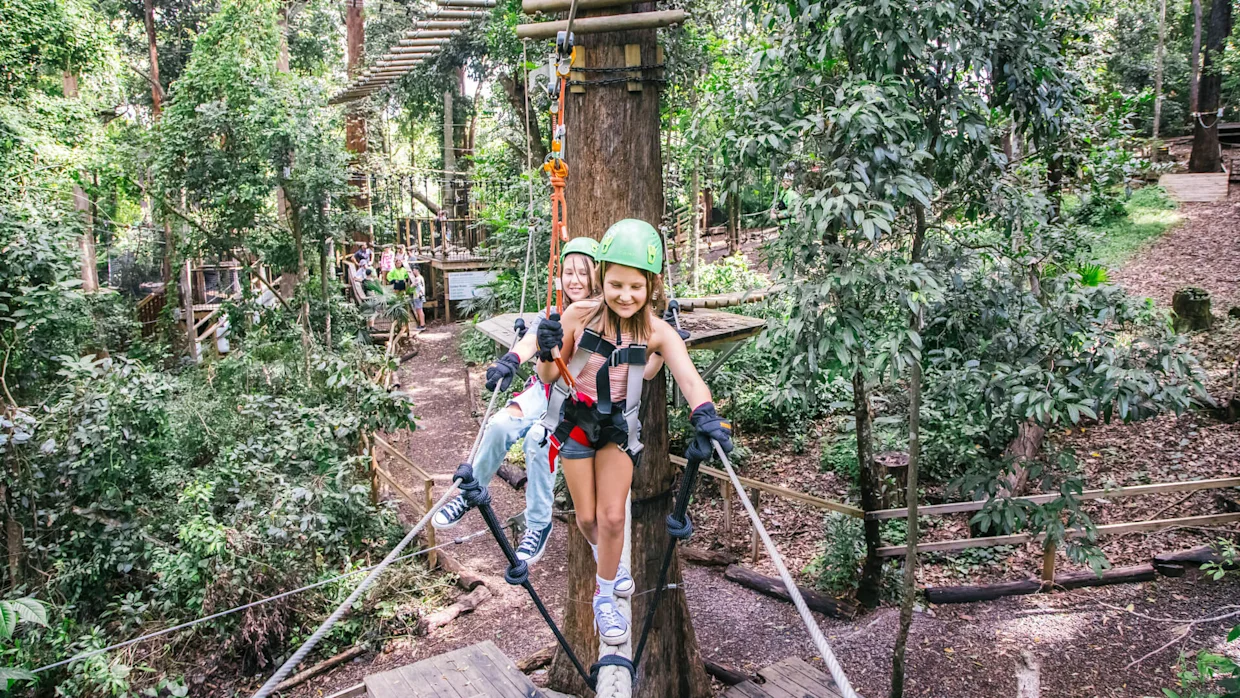 TreeTop Challenge