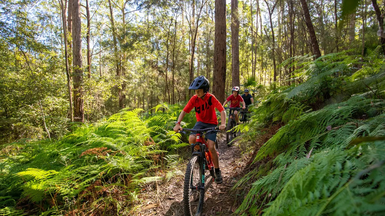 Mountain Bike tracks, Sunshine Coast