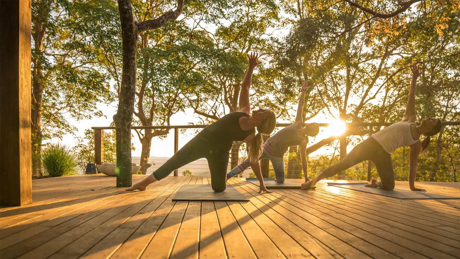 Sunrise Yoga at Spicers Clovelly Estate, Montville