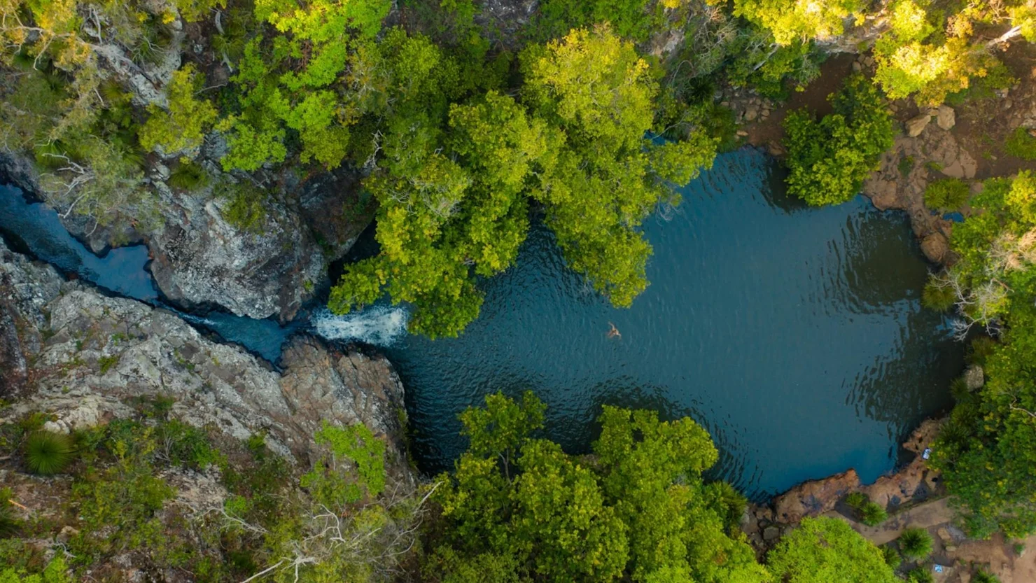 Waterfall in the Sunshine Coast Hinterland, Kondalilla Falls, Kondalilla National Park.