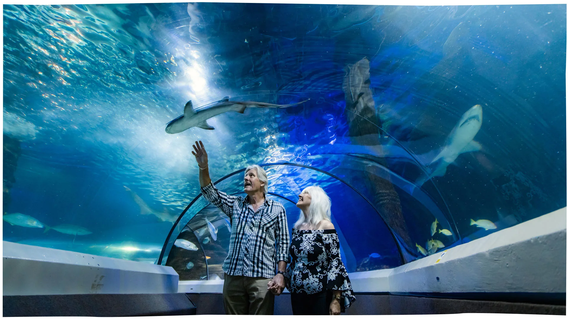 SEA LIFE, Mooloolaba