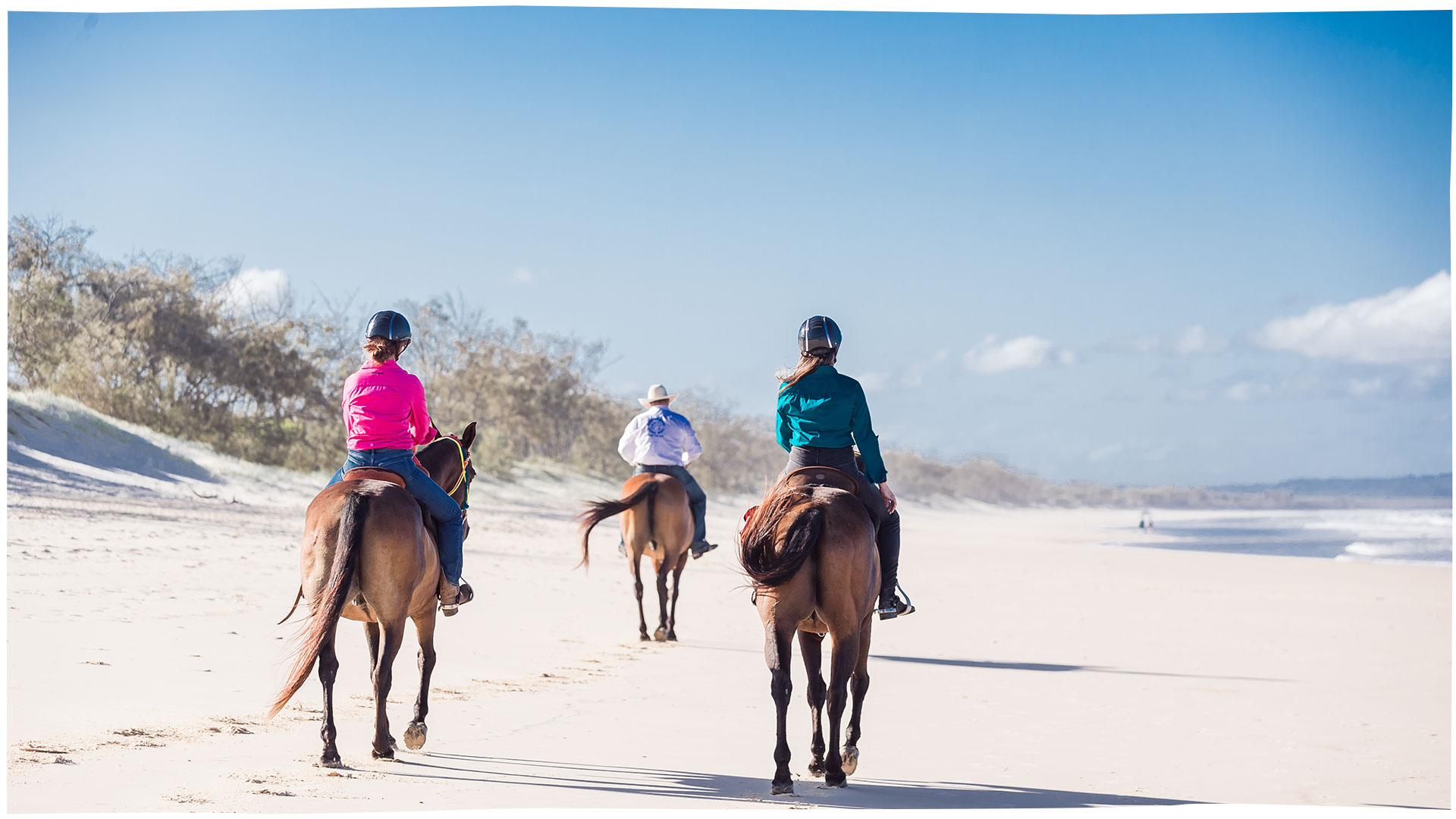 3 places to go horse riding in and around Gympie Visit Sunshine Coast