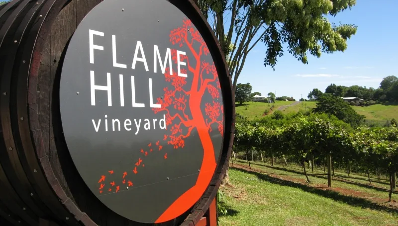 Flame Hill Vineyard in the Hinterland