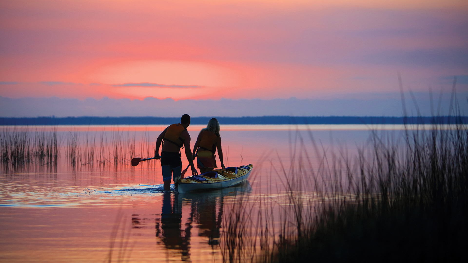 The Best Camping & Glamping On The Sunshine Coast - Visit Sunshine Coast