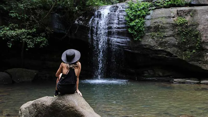 Buderim Forest Waterfalls (Serenity Falls), Buderim