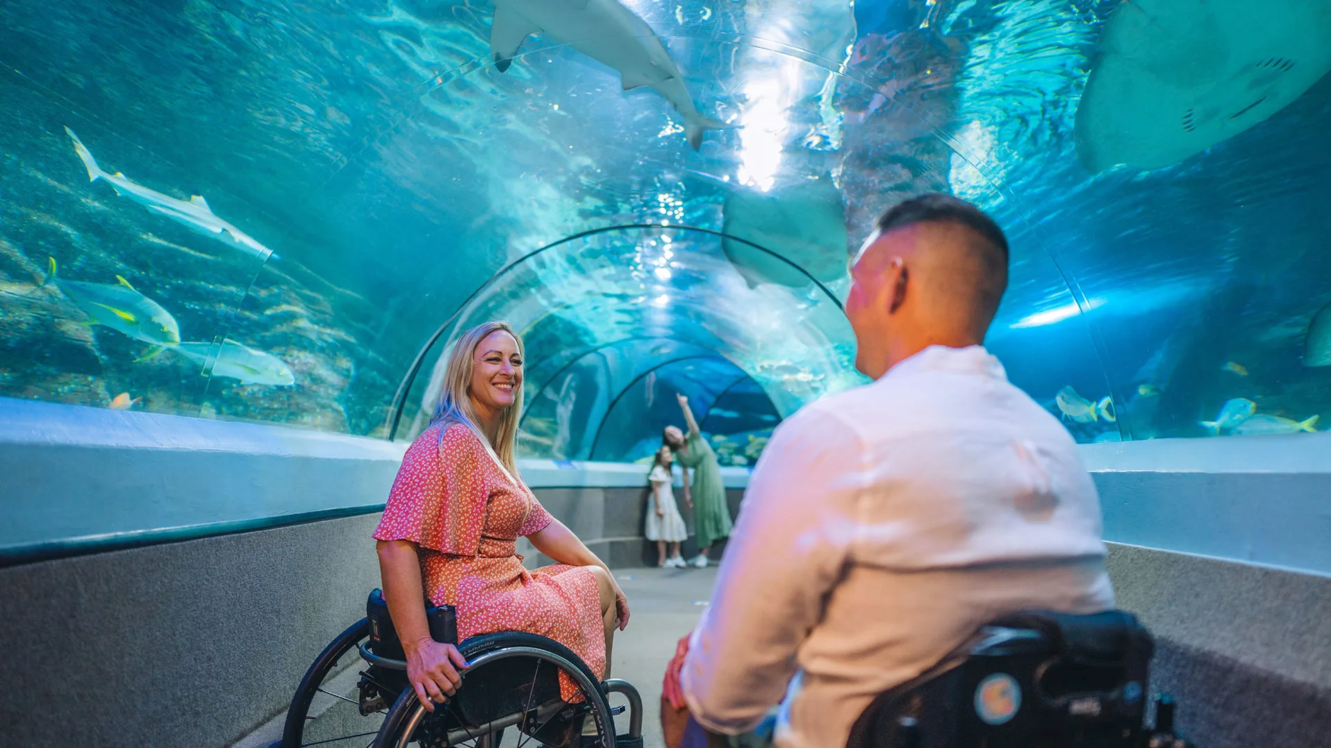 Accessibility at Sea Life Sunshine Coast