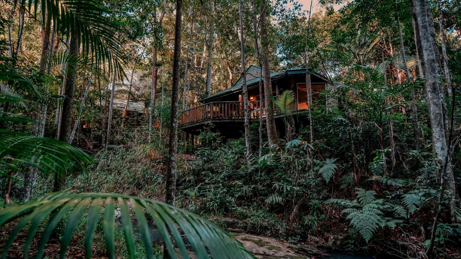 Narrows Escape Rainforest Retreat, Montville, Sunshine Coast Hinterland accommodation
