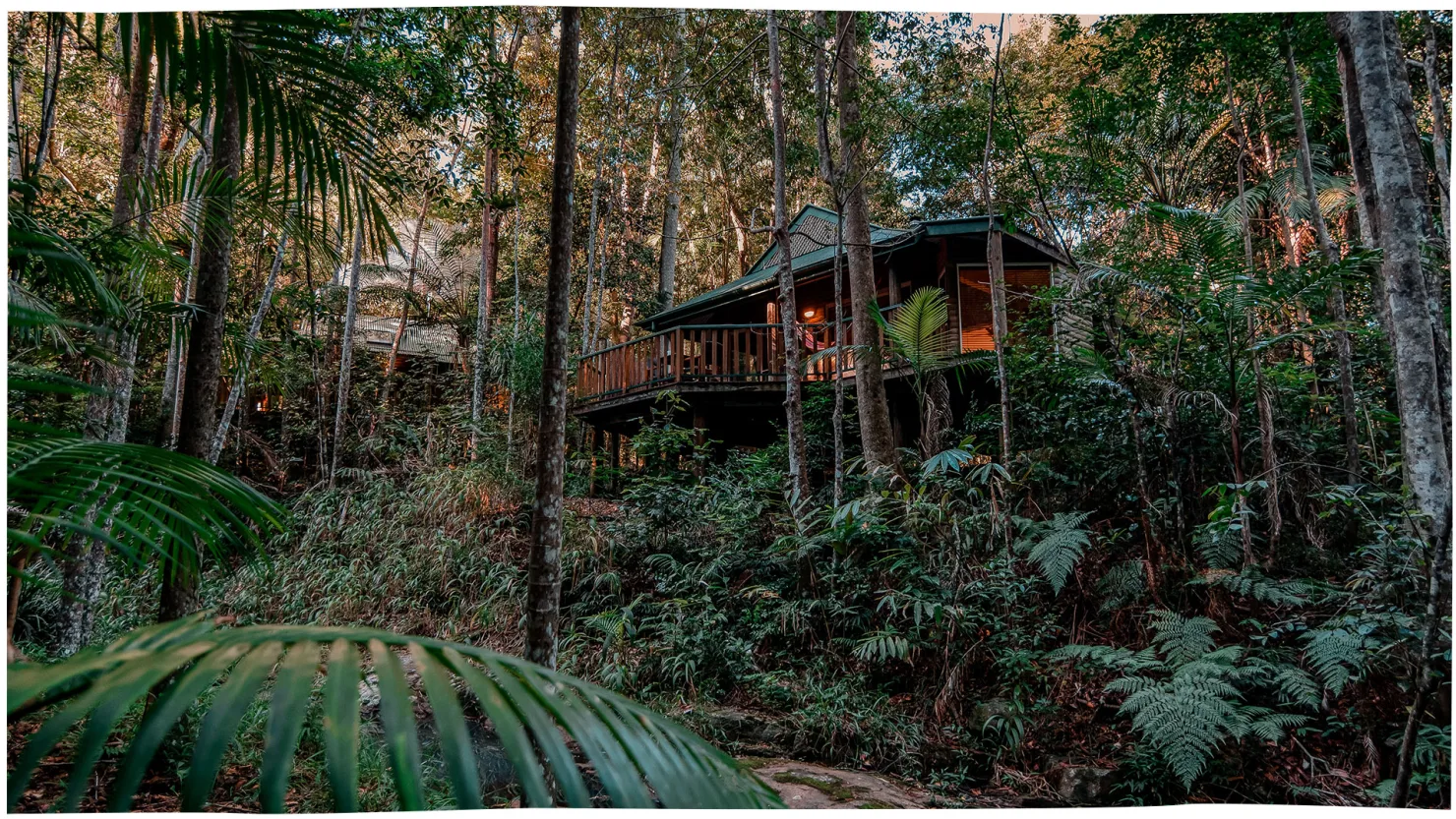 Narrows Escape Rainforest Retreat 