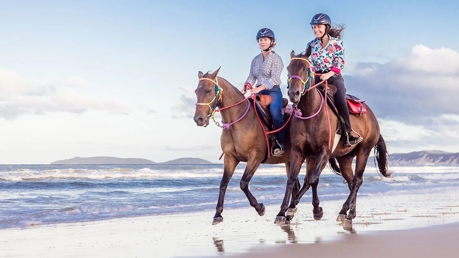 Rainbow Beach Horse Rides 
