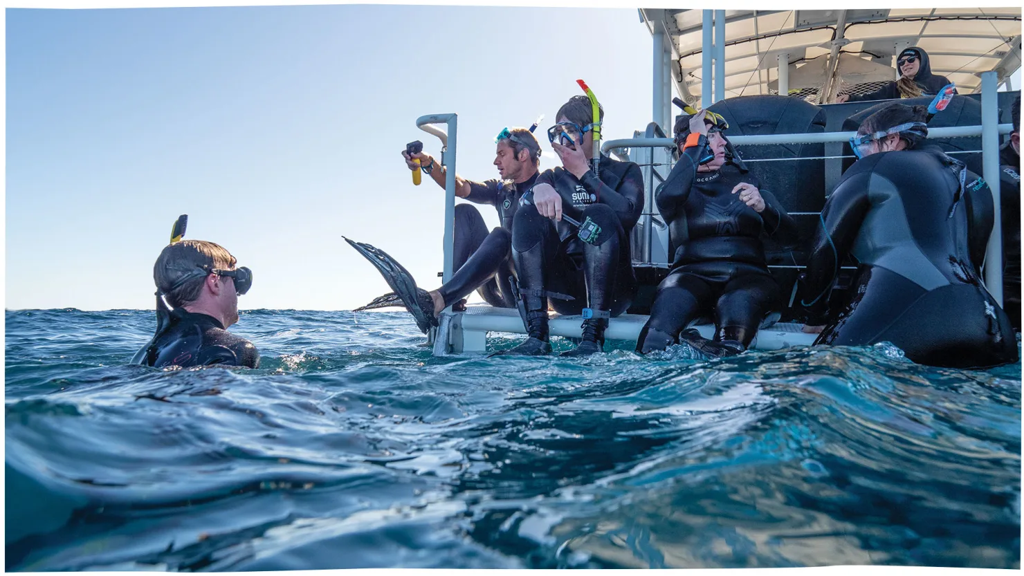 Getting ready to swim with the Whales with Sunreef