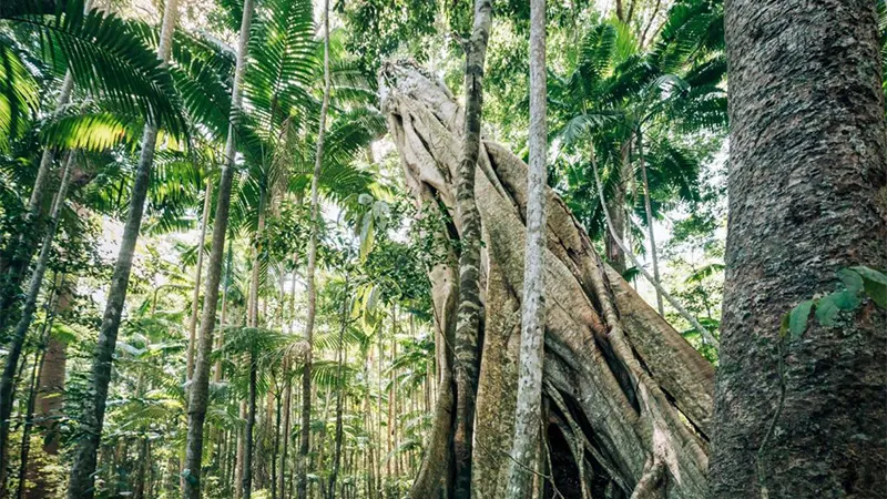 Cooloola National Park, Gympie Region