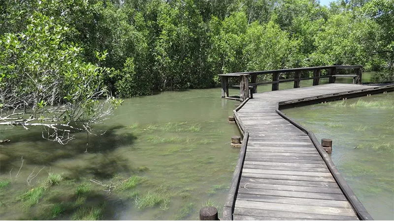 Maroochy Wetlands