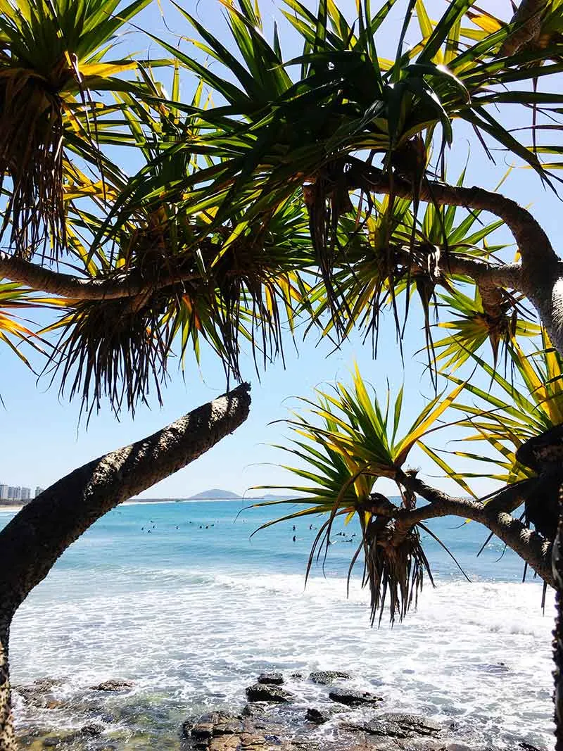 Photo: @anitaski via #VisitSunshineCoast