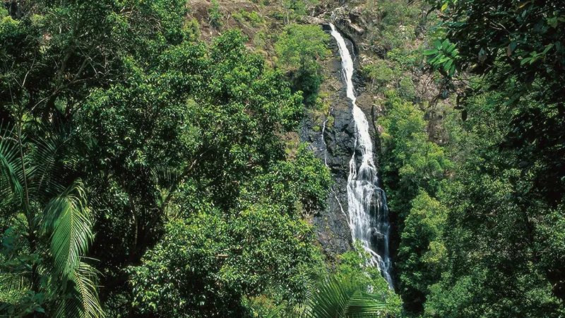 Mapleton Falls National Park