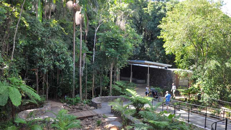 Mary Cairncross Scenic Reserve and Discovery Centre in Maleny