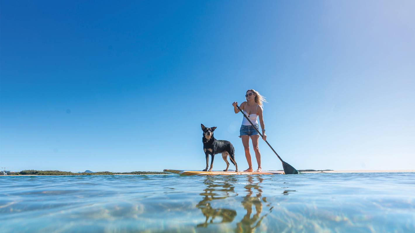 Petfriendly adventures on the Sunshine Coast Visit Sunshine Coast