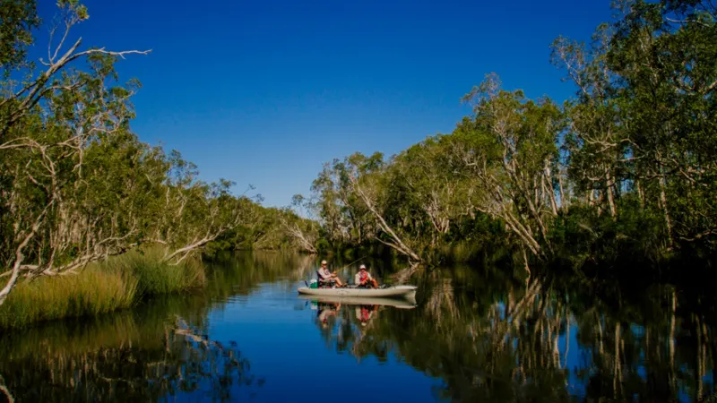 Sunshine Coast fishing