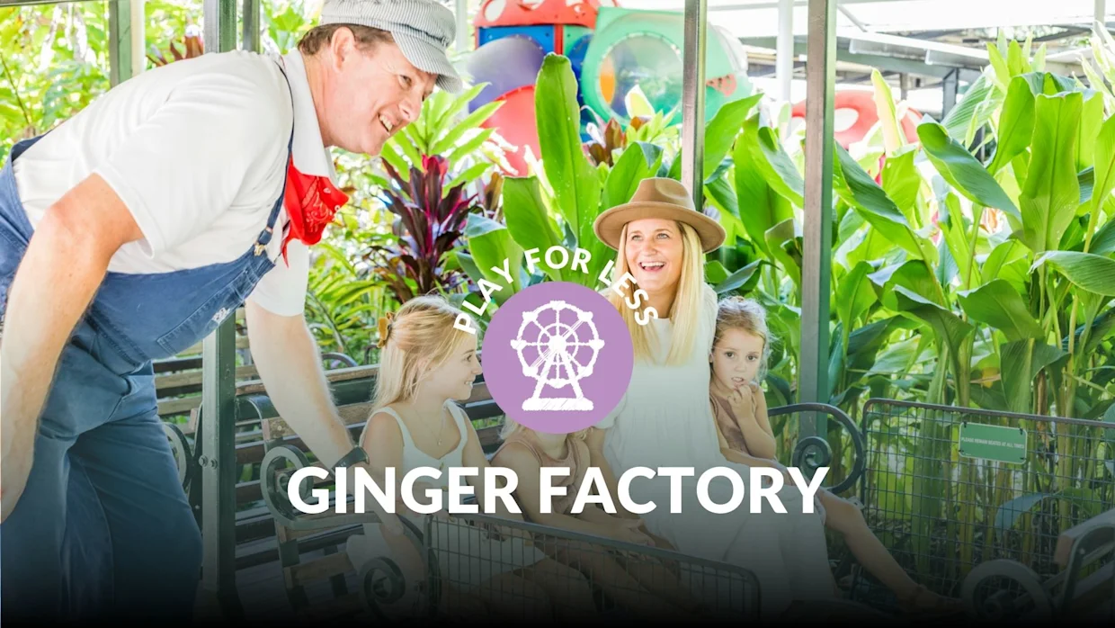 Free ride with every play bundle ticket purchased