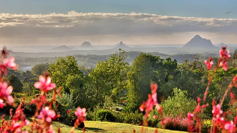 Glass House Mountains