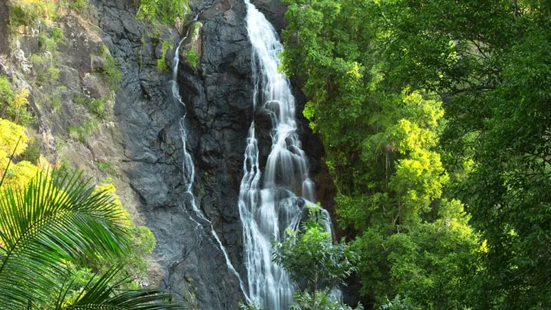 Kondalilla Falls