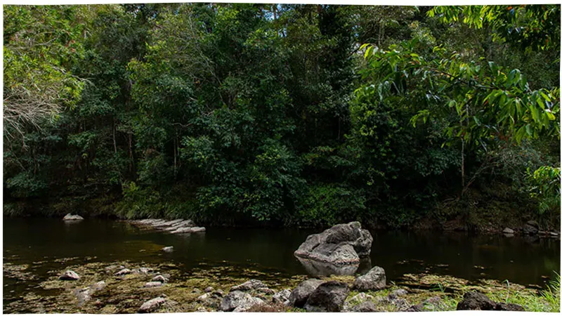 Wappa creek