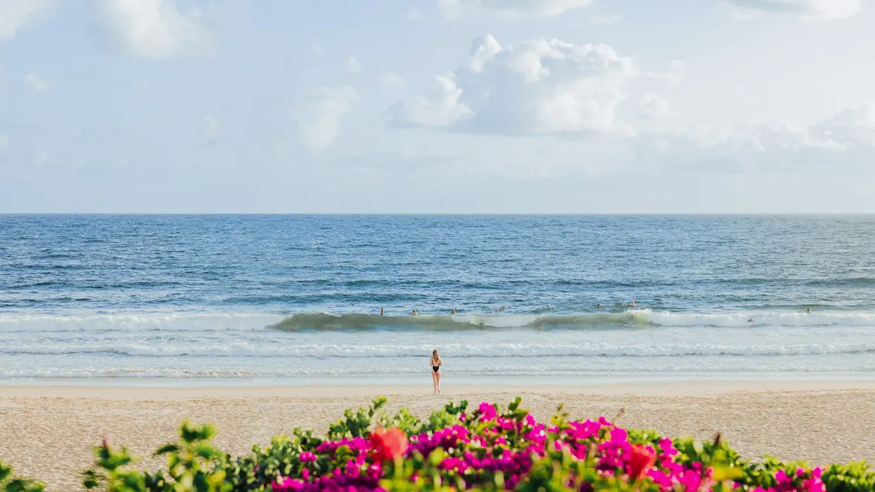 Vitamin SEA Booster