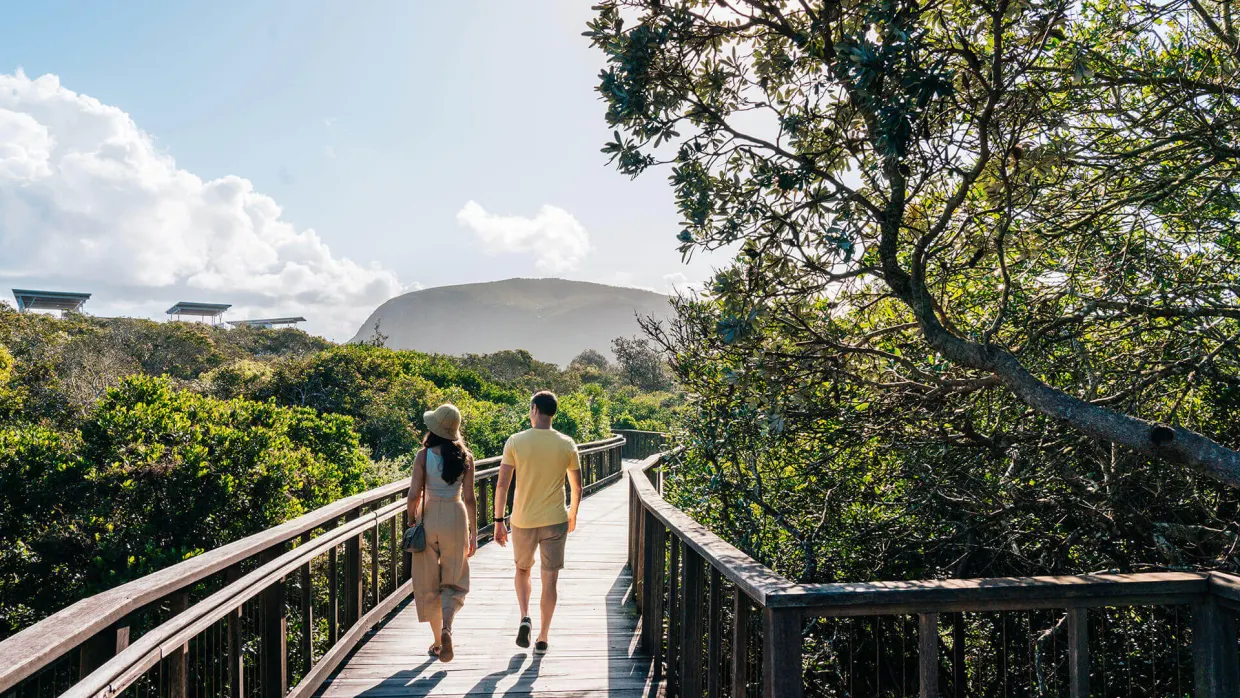 Mt Coolum boardwalk