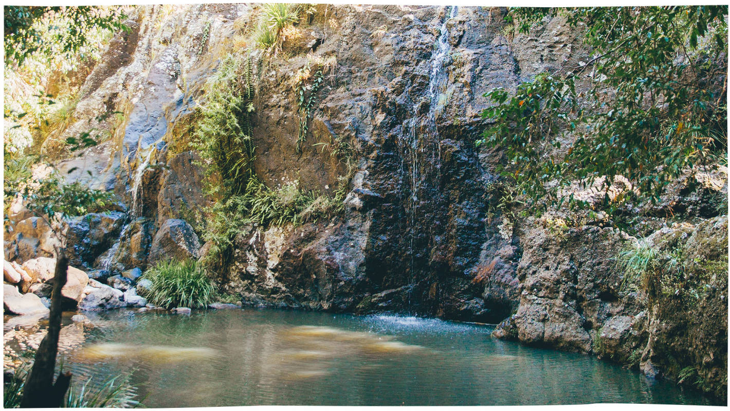 Robinson Falls in Cilento Park, Nambour