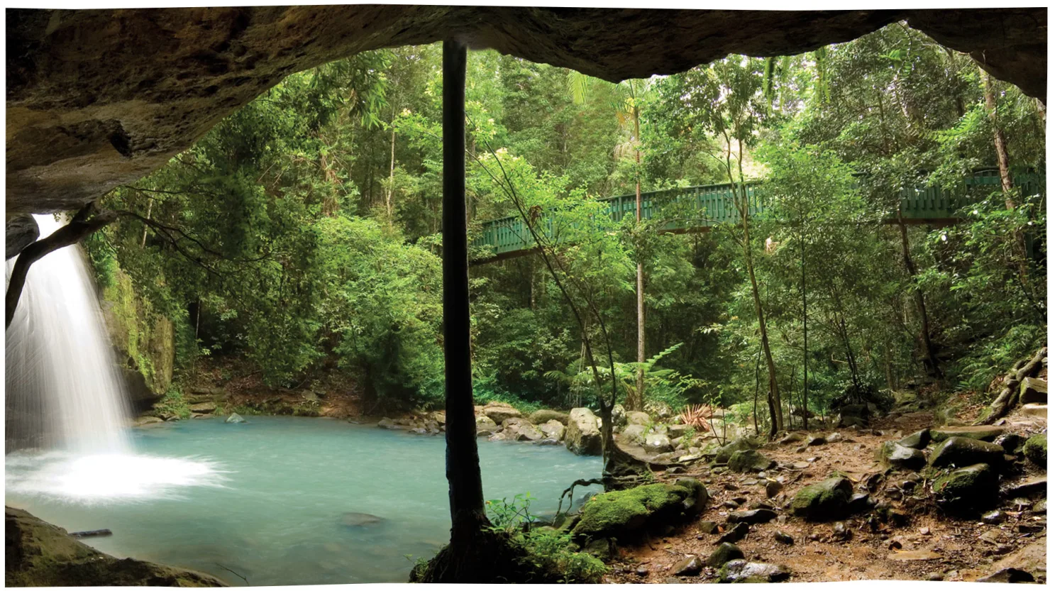 Buderim Forest Waterfalls (Serenity Falls), Buderim