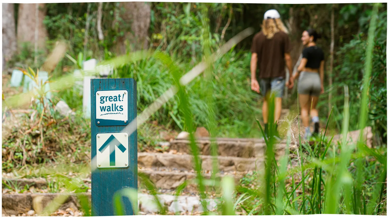 Mapleton Falls National Park - Great Walk