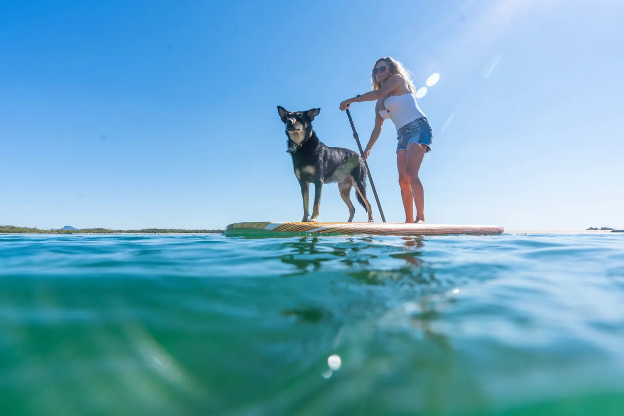 SUP, Dive & Snorkel: Dive into the waters of the Sunshine Coast