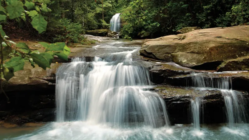 Buderim (Serenity) Falls, Buderim