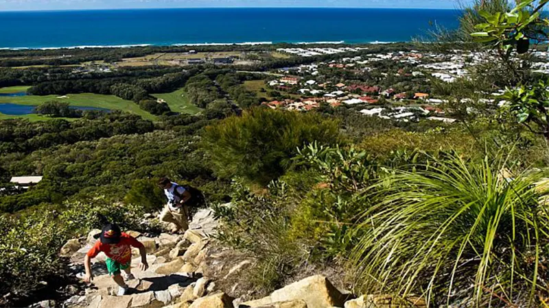 Hiking Mt Coolum