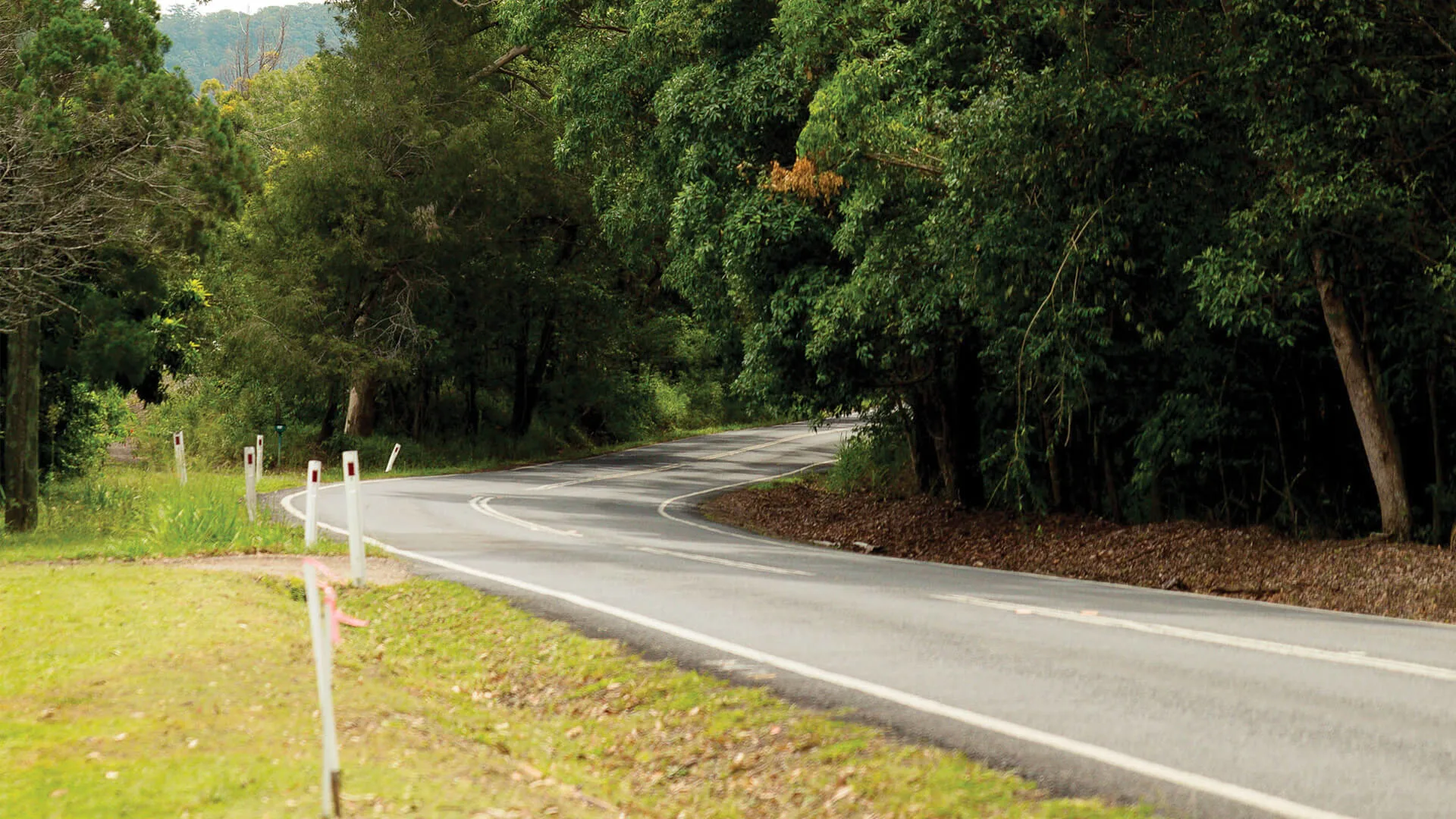 Scenic Hinterland roads