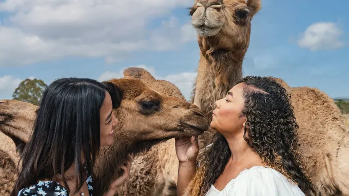 Get up close and personal with the farm animals 