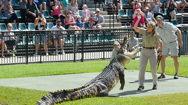 australia zoo