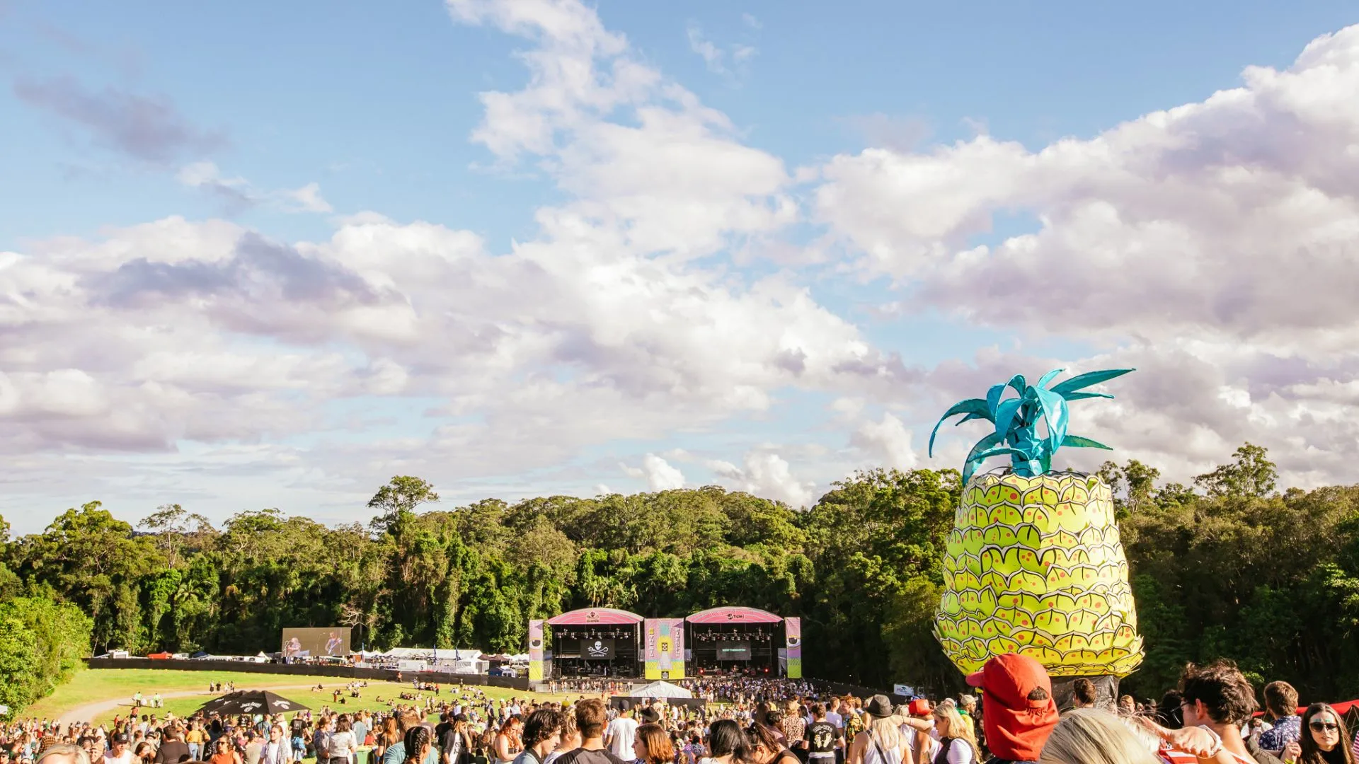 Big Pineapple Festival