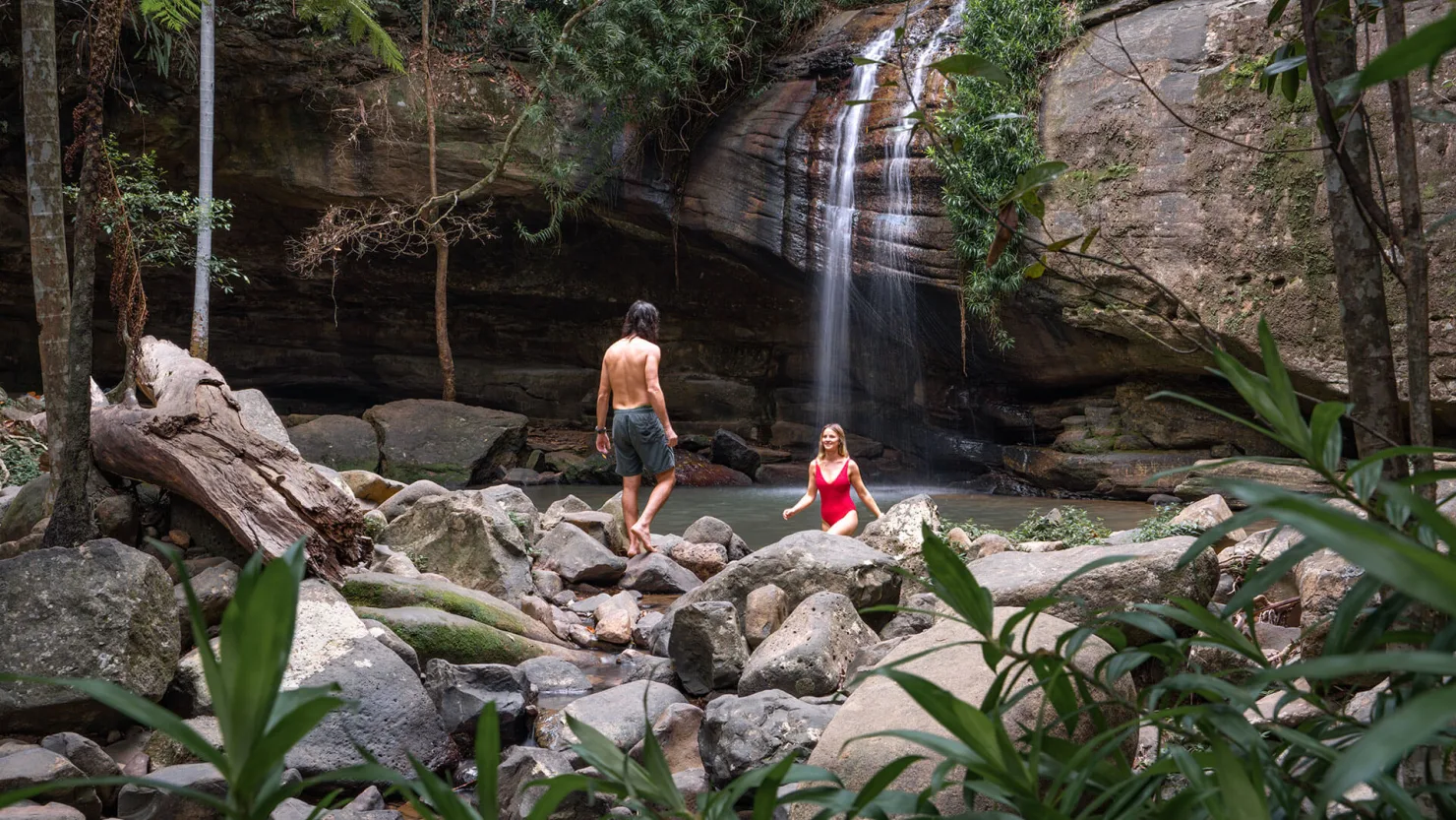 Buderim Falls, Buderim Forest Park