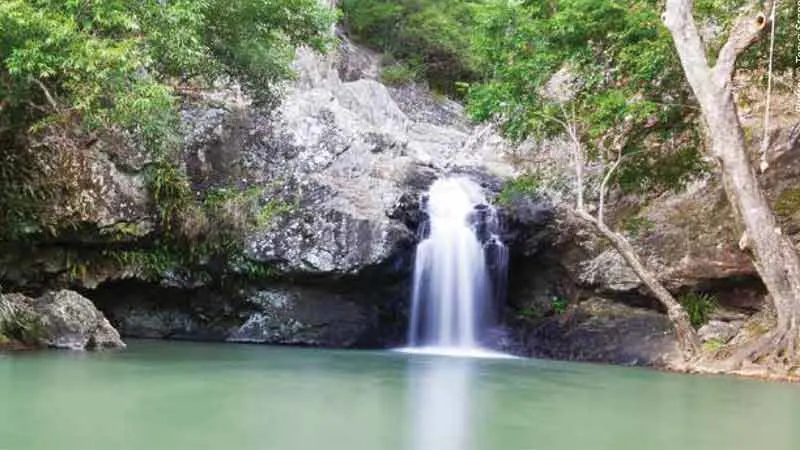 Kondalilla Falls