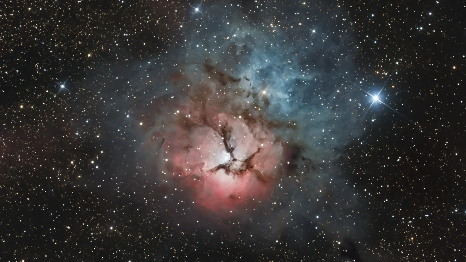 The Trifid Nebula viewed from the Sunshine Coast credit Nathan Eikenbary